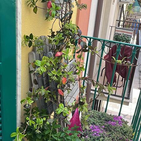 La Casa Di Nonna Sisina Villa Мола ди Бари Екстериор снимка