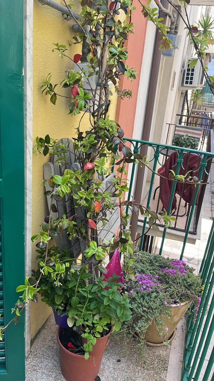 La Casa Di Nonna Sisina Villa Мола ди Бари Екстериор снимка